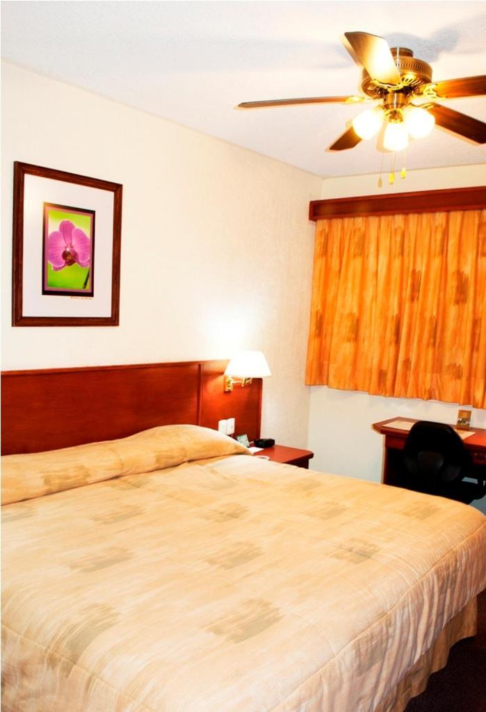 Hotel Marcella Clase Ejecutiva 莫雷利亚 外观 照片